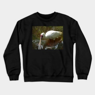 African Spoonbill wading in the shallows Crewneck Sweatshirt